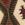 Aztek Print Insert Top